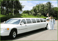 Wedding Limousine