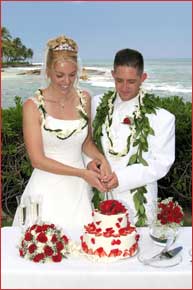 Couple cutting their wedding cake